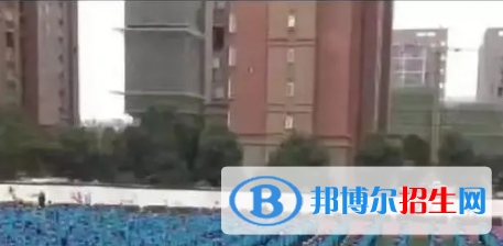 亳州五中、譙城區(qū)宏志中學(xué)2022錄取分?jǐn)?shù)線（2023參考）