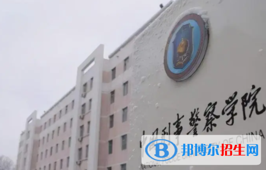 中國大學(xué)網(wǎng)絡(luò)安全與執(zhí)法專業(yè)排名（2022研究型）