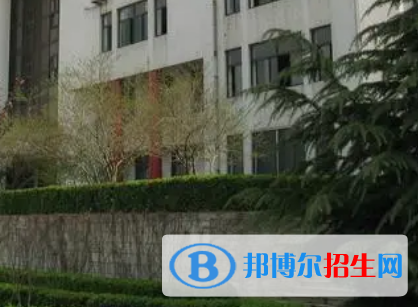 2023臨沂有哪些?？茖W(xué)校