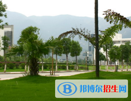 2023溫州有哪些?？茖W校 