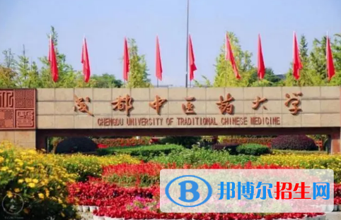 中國大學中醫(yī)兒科學專業(yè)排名(2022應用型)