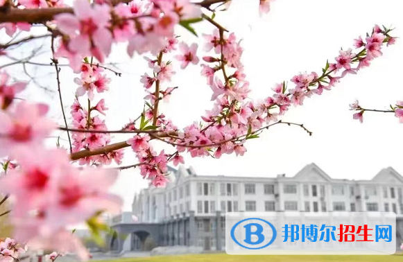 2022濰坊市大學(xué)排名(校友會)
