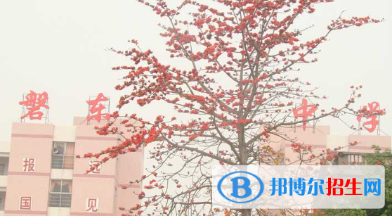 揭陽市揭東區(qū)磐東中學(xué)、白塔中學(xué)2022錄取分?jǐn)?shù)線（2023參考）