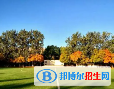 中國大學桑戈語專業(yè)排名（2022研究型）