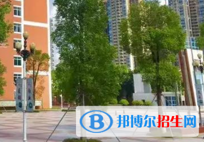 東莞外國(guó)語學(xué)校2022年分?jǐn)?shù)線是多少?(2023參考)