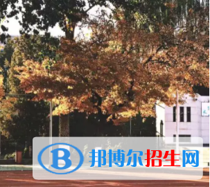 中國(guó)大學(xué)日語專業(yè)排名（2022研究型）