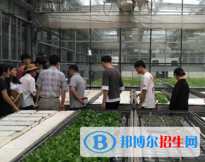 農(nóng)業(yè)電氣化專業(yè)好嗎?(農(nóng)業(yè)電氣化專業(yè))
