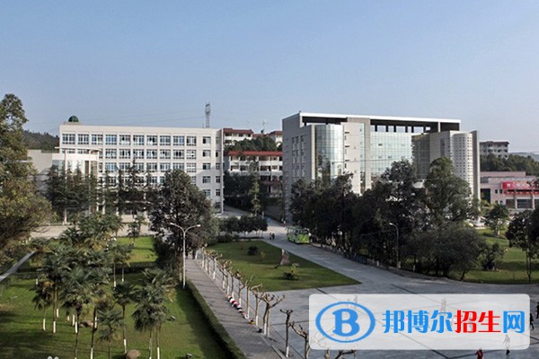 四川幼兒師范高等?？茖W校2023單招有哪些專業(yè)