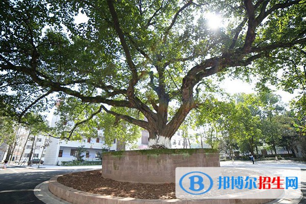 宜賓職業(yè)技術(shù)學(xué)院?jiǎn)握?023年學(xué)費(fèi)是多少