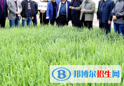 農(nóng)學(xué)專業(yè)好嗎?(農(nóng)學(xué)專業(yè))