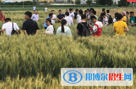 設施農業(yè)科學與工程專業(yè)好嗎?(設施農業(yè)科學與工程專業(yè))