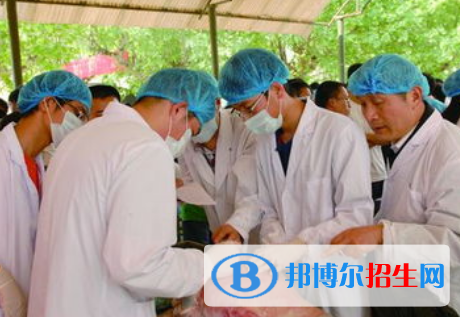 動(dòng)物科學(xué)專業(yè)好嗎?(動(dòng)物科學(xué)專業(yè))