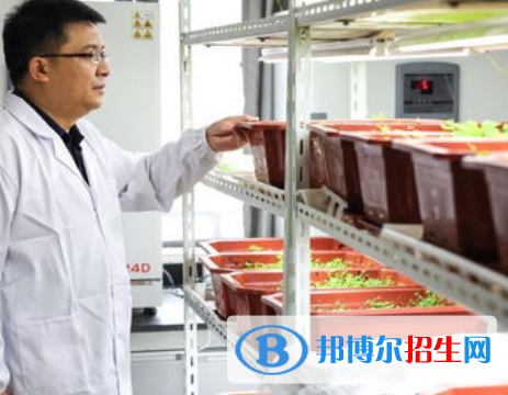 蠶學(xué)專業(yè)好嗎?(蠶學(xué)專業(yè))