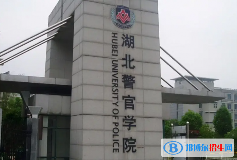 山東高考490分左右可以報考什么學(xué)校（2023報考參考）