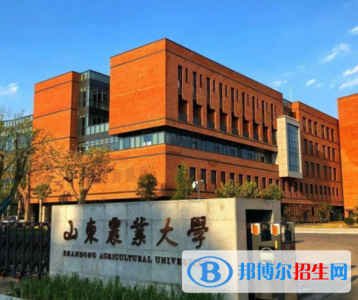 泰安所有公辦大學(xué)有哪些?(附大學(xué)名單)
