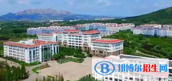山東外國(guó)語(yǔ)職業(yè)技術(shù)大學(xué)宿舍條件好不好?(宿舍條件)
