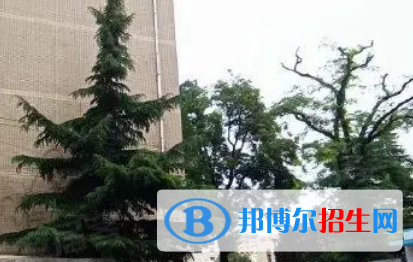 大連八中2022錄取分數線 (2023參考)