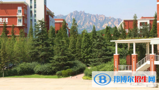 青島所有的?？茖W(xué)校有哪些?(附學(xué)校名單)