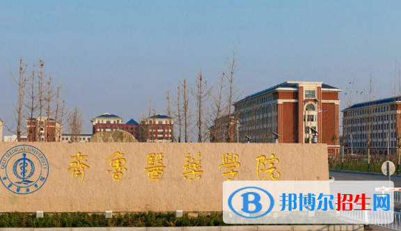 齊魯醫(yī)藥學(xué)院是不是雙一流大學(xué)嗎？