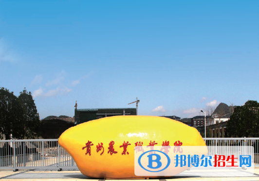 貴州農(nóng)業(yè)職業(yè)學(xué)院單招怎么樣？