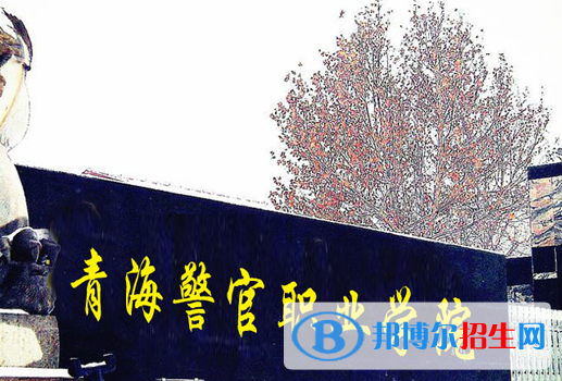 青海政法類大學有哪些？(附名單)