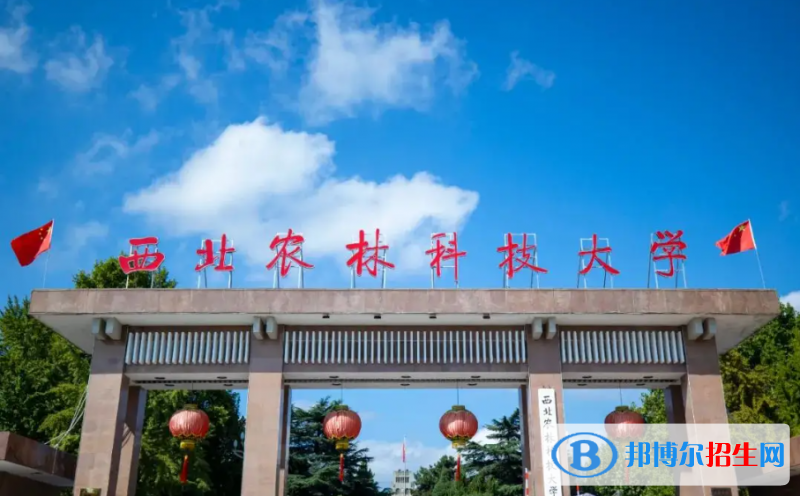 浙江高考610分左右可以報(bào)考什么學(xué)校（2023報(bào)考參考）