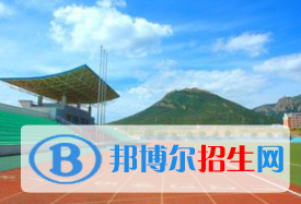 大連理工大學(xué)城市學(xué)院是不是雙一流大學(xué)？