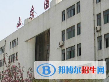 2023山東公辦大專學校排名一覽表