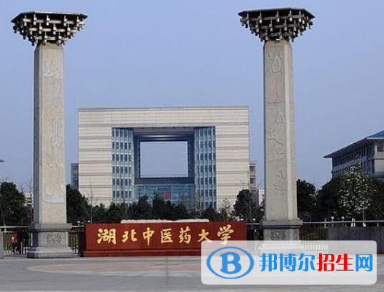 湖北醫(yī)藥類大學(xué)有哪些？(附名單)