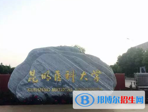 云南醫(yī)藥類大學有哪些？(附名單)
