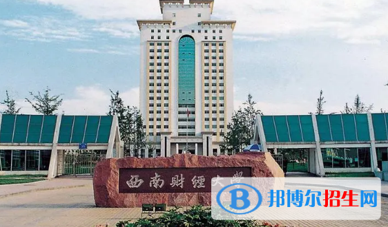 西南財(cái)經(jīng)大學(xué)有哪些中外合作辦學(xué)專業(yè)?(附名單)