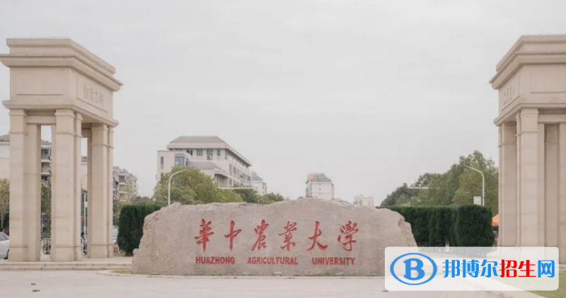 海南高考650分左右可以報考什么學(xué)校（2023報考參考）