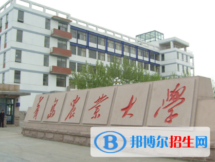 山東有哪些大學是二本？山東二本大學排名2022最新排名列表(47所)