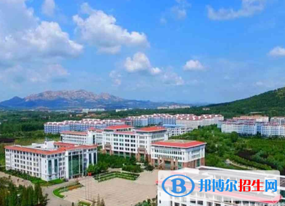 山東外國語職業(yè)技術大學是不是雙一流大學？
