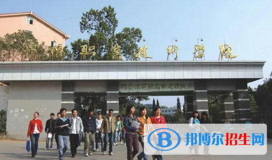 綿陽職業(yè)技術(shù)學院有哪些中外合作辦學專業(yè)?(附名單)