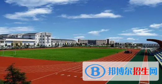 上海電子信息職業(yè)技術學院有哪些中外合作辦學專業(yè)?(附名單)