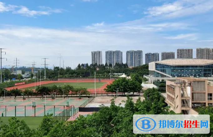 四川單招財政專業(yè)2023年有哪些學(xué)校