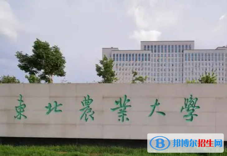 東北農(nóng)業(yè)大學(xué)是不是985大學(xué)？