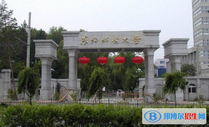 東北林業(yè)大學王牌(重點)專業(yè)有哪些?