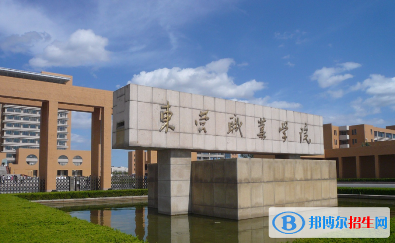 東營(yíng)職業(yè)學(xué)院有哪些中外合作辦學(xué)專(zhuān)業(yè)？（附名單）
