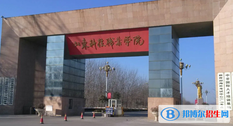 山東科技職業(yè)學(xué)院有哪些中外合作辦學(xué)專業(yè)？（附名單）