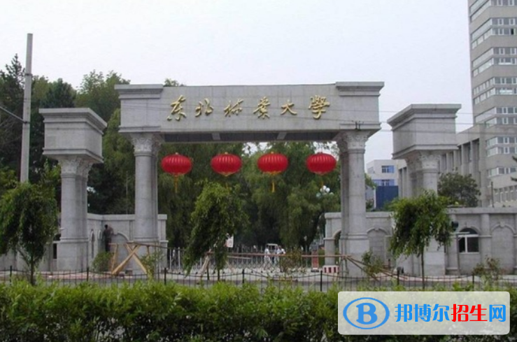 東北林業(yè)大學(xué)是不是雙一流大學(xué)？ 