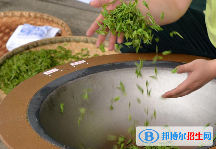 貴州省茶技術(shù)茶文化學校2023年招生辦聯(lián)系電話