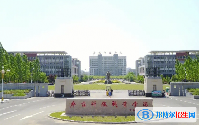 棗莊科技職業(yè)學(xué)院有哪些中外合作辦學(xué)專業(yè)？（附名單）