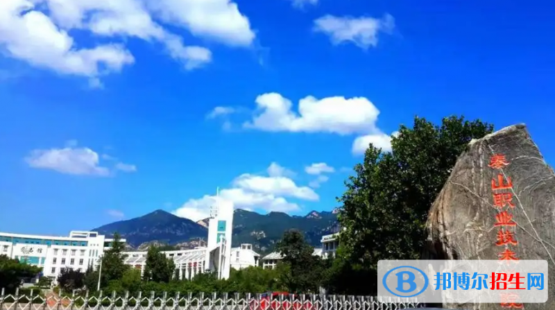 泰山職業(yè)技術(shù)學(xué)院有哪些中外合作辦學(xué)專業(yè)？（附名單）