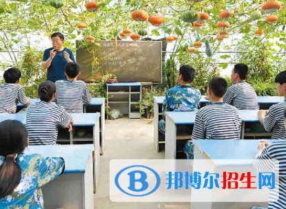 四川省農(nóng)業(yè)廣播電視學校2023年有哪些專業(yè)