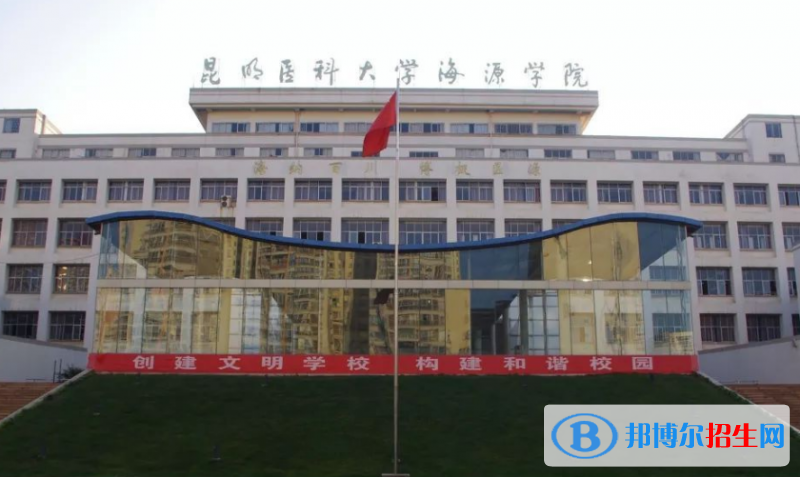 昆明醫(yī)科大學海源學院是不是雙一流大學