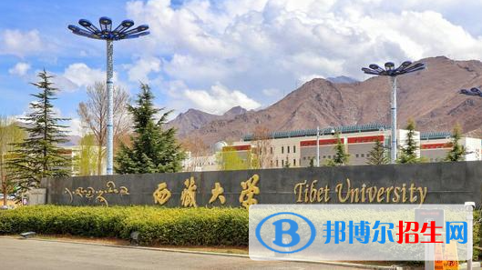 西藏高考錄取分?jǐn)?shù)線一覽表2022（一本，二本，專(zhuān)科）