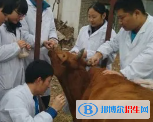 資中縣職業(yè)技術(shù)學校2023年有哪些專業(yè)