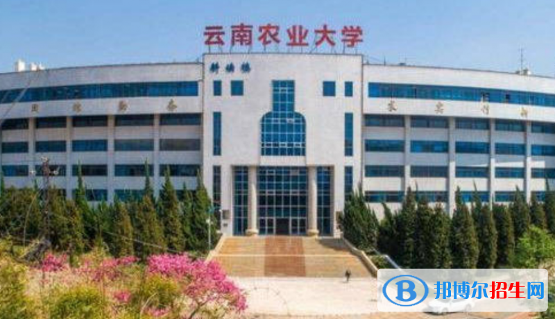 云南農業(yè)大學是幾本？是985和211嗎？